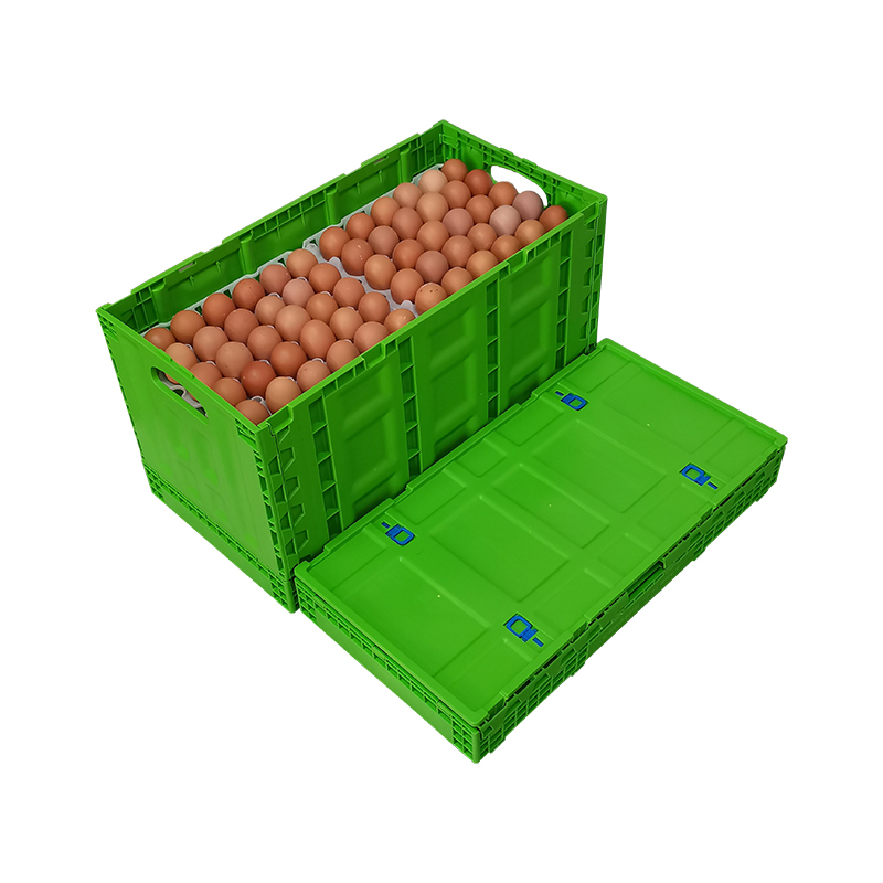 鸡蛋折叠箱